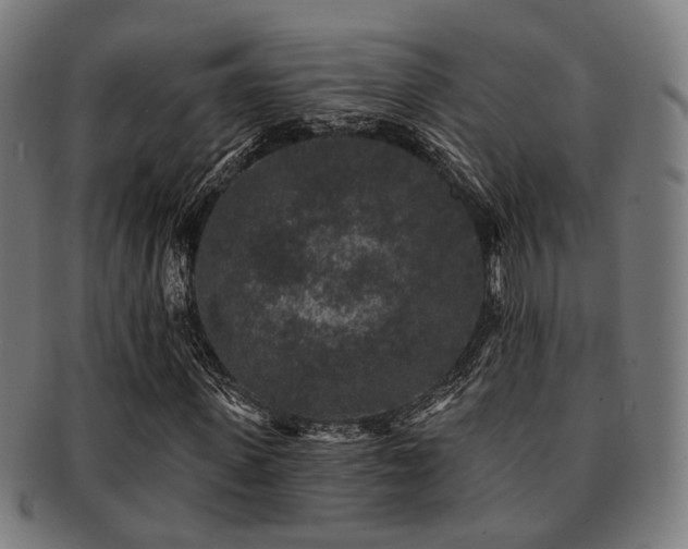 X0000091890915200709051340