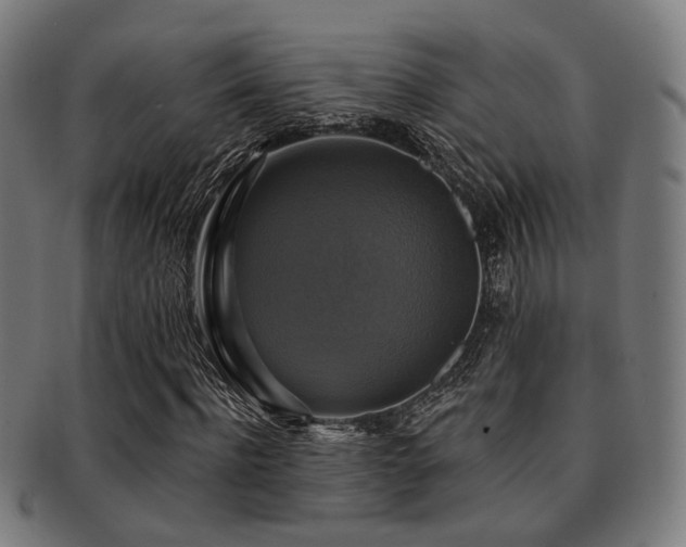 X0000091890916200709051340