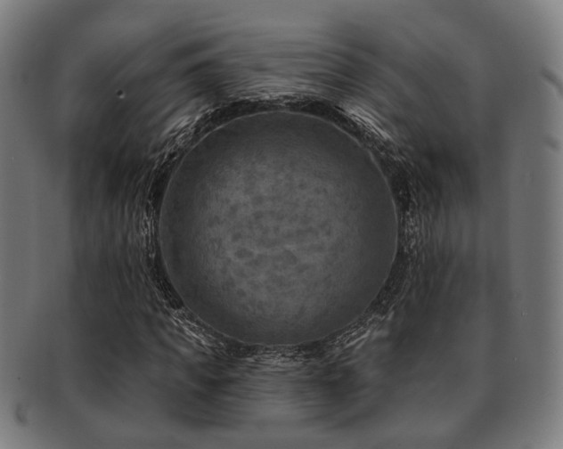 X0000091890917200709051340