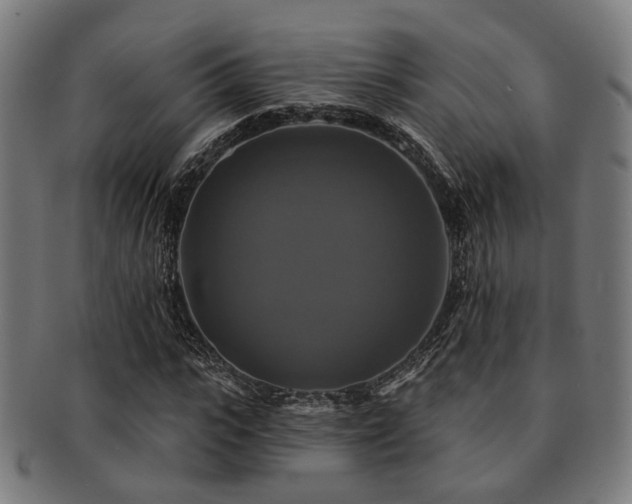 X0000091890919200709051340