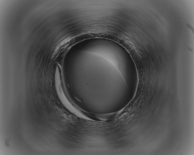 X0000091890920200709051340