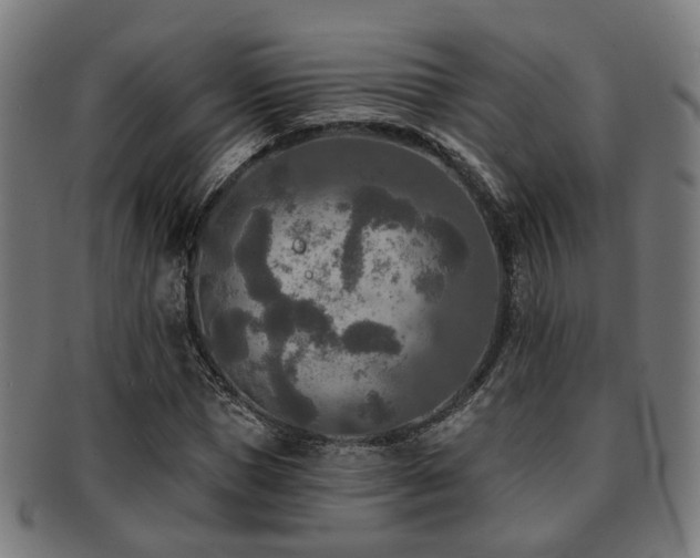 X0000091890921200709051340
