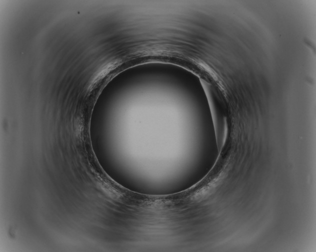 X0000091890922200709051340