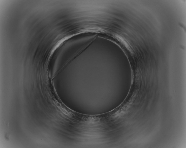 X0000091890923200709051340