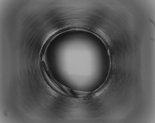 X0000091890924200709051340