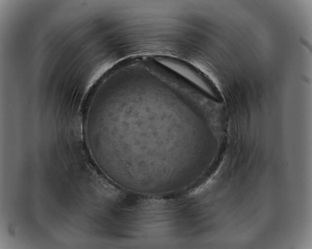 X0000091890925200709051340