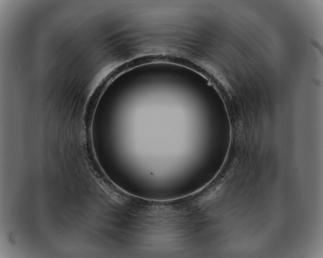 X0000091890927200709051340