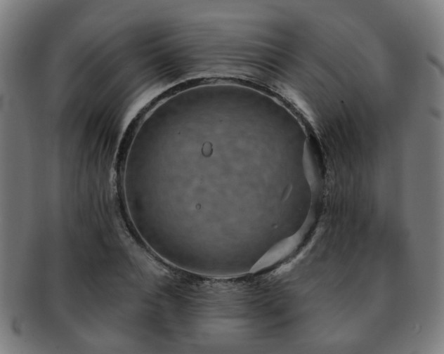 X0000091890928200709051340