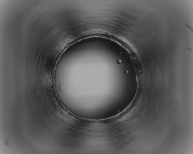 X0000091890929200709051340