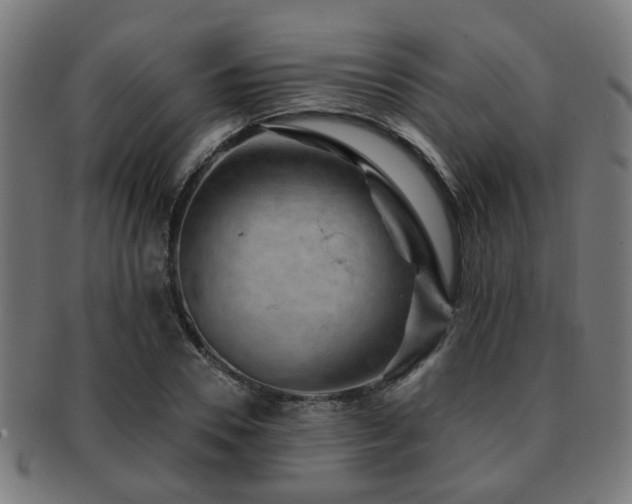 X0000091890930200709051340