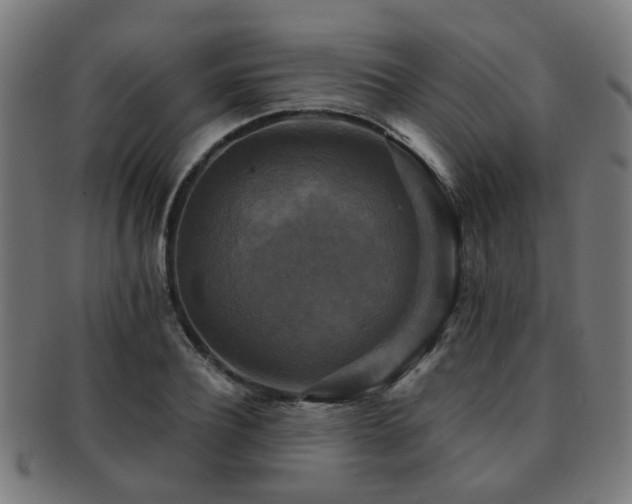 X0000091890932200709051341