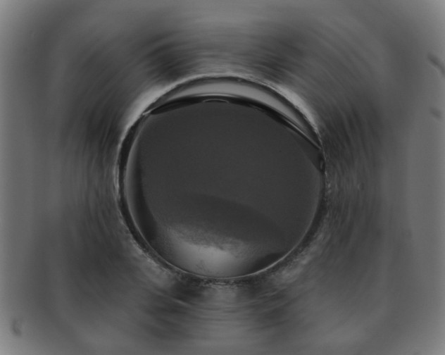X0000091890935200709051341