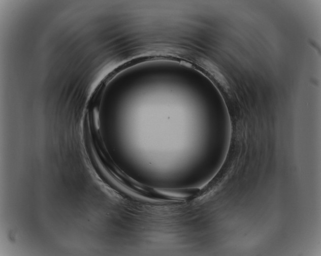 X0000091890936200709051341