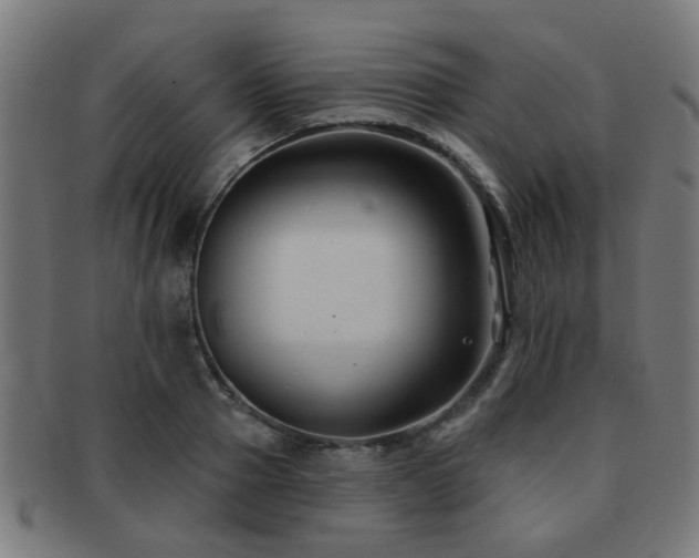 X0000091890937200709051341