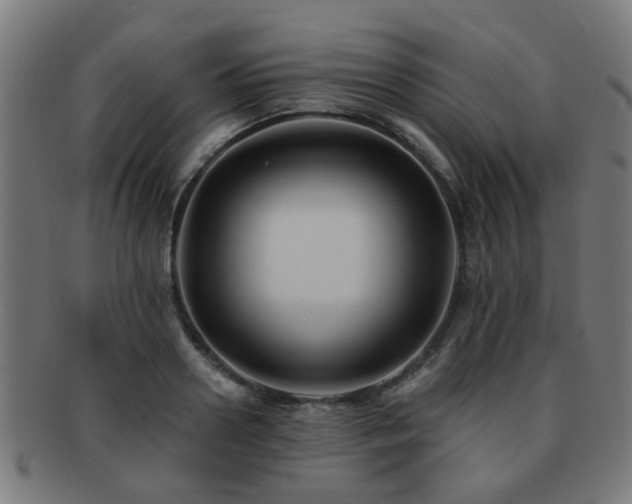 X0000091890938200709051341