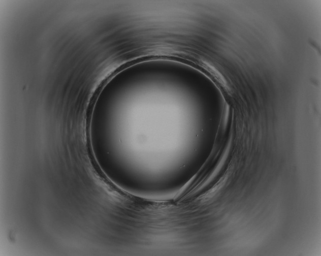 X0000091890939200709051341