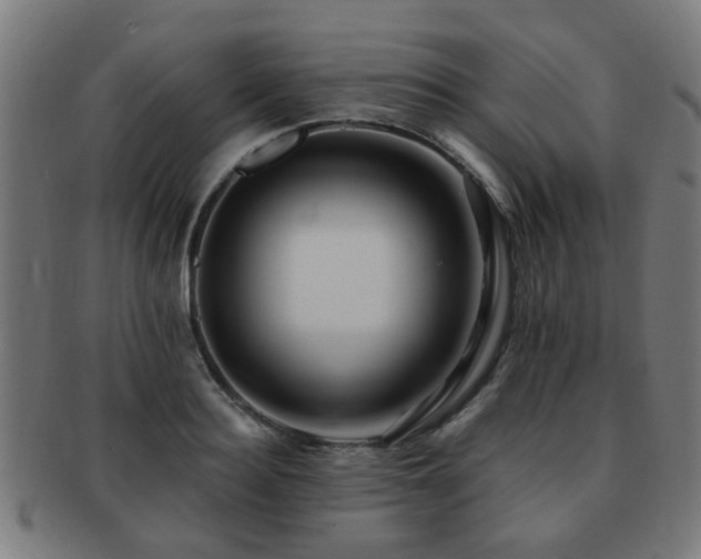 X0000091890940200709051341