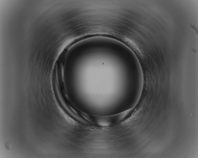 X0000091890942200709051341