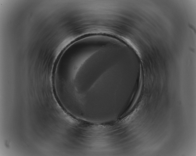 X0000091890943200709051341