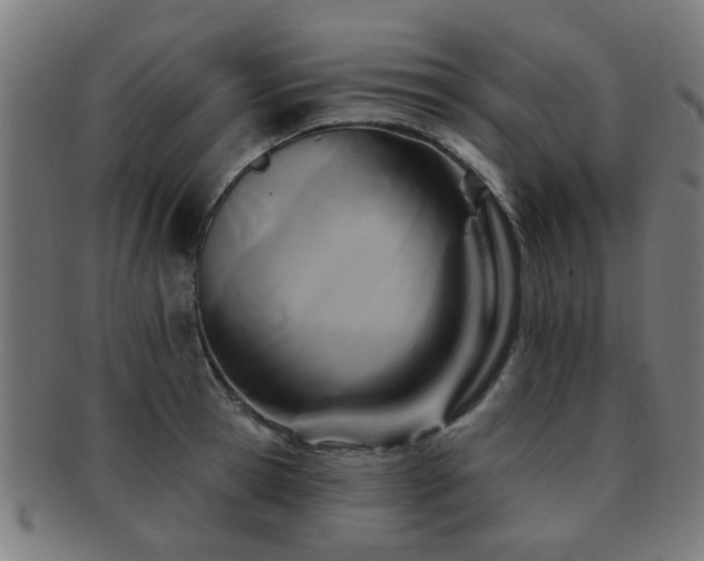 X0000091890945200709051341