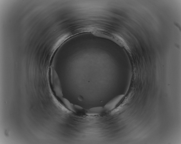 X0000091890946200709051341
