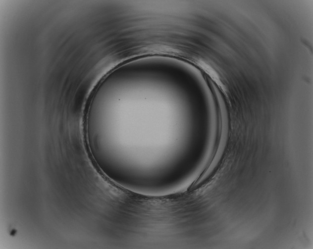 X0000091890947200709051341