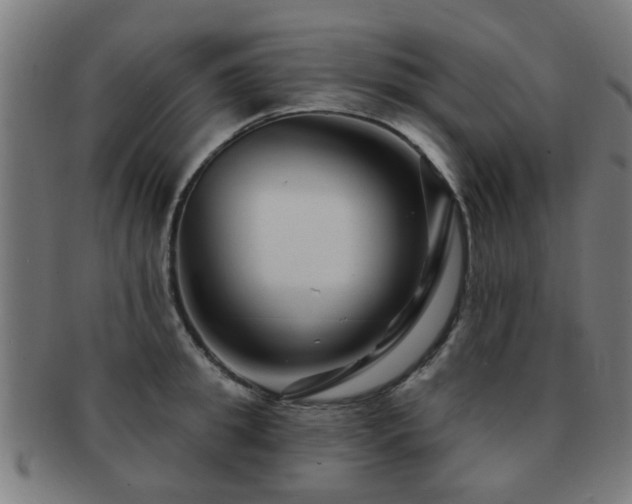 X0000091890949200709051341