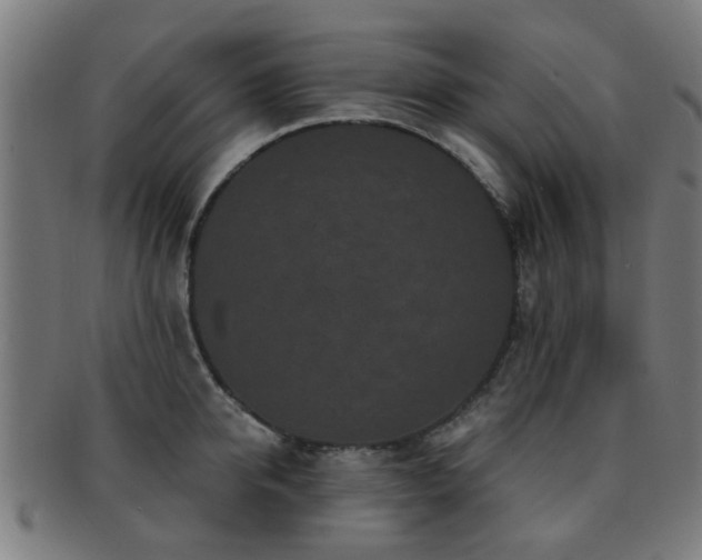 X0000091890950200709051341