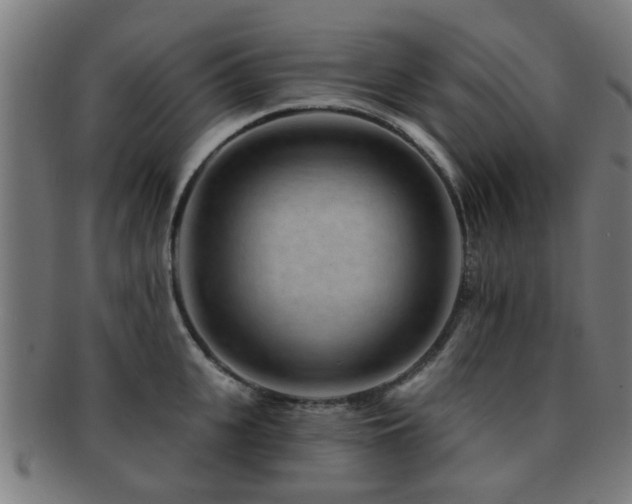 X0000091890951200709051341