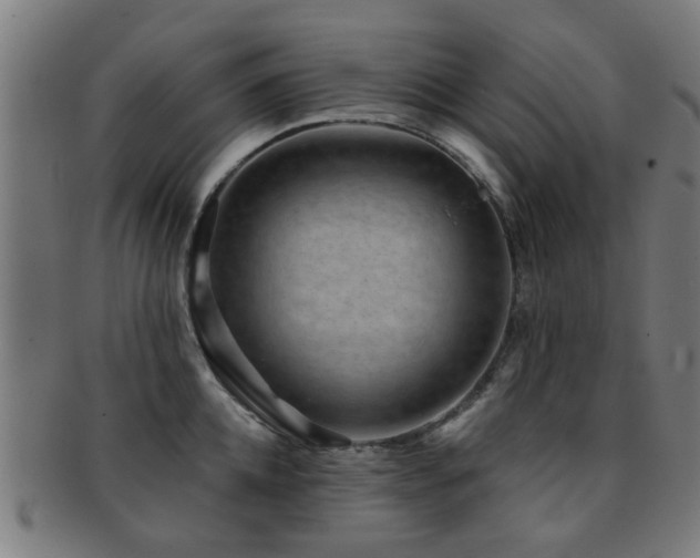 X0000091890952200709051341