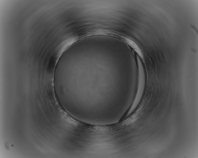 X0000091890954200709051341