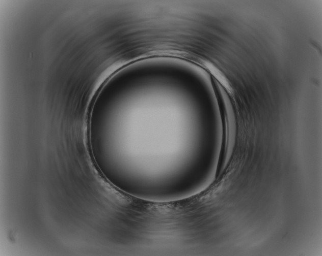 X0000091890955200709051341