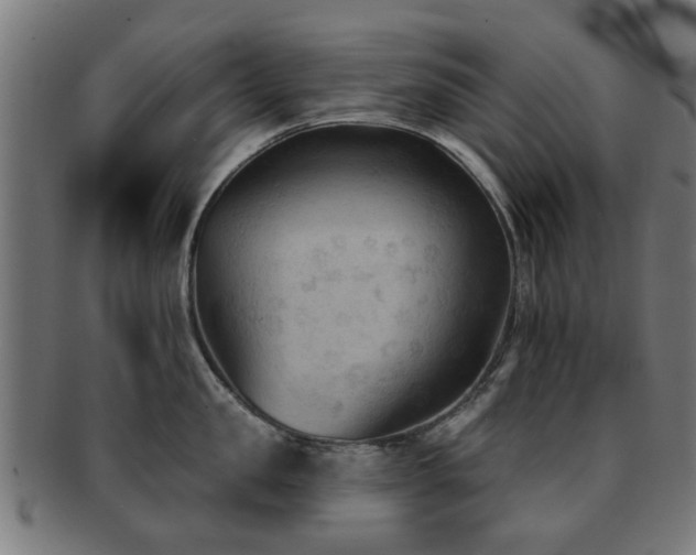 X0000091890957200709051341