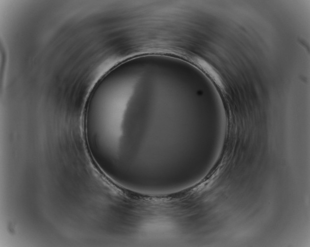 X0000091890958200709051341