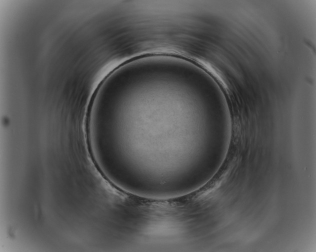 X0000091890959200709051341
