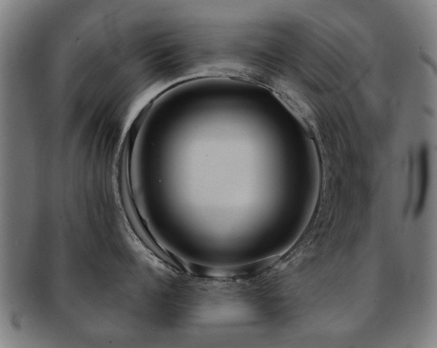 X0000091890960200709051341