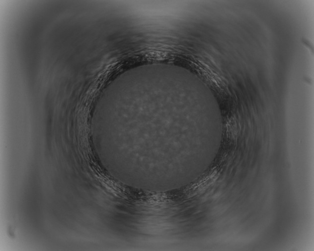 X0000091890961200709051340