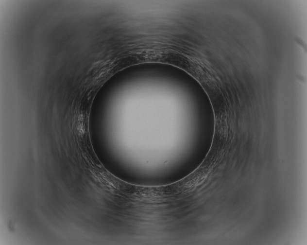 X0000091890962200709051340