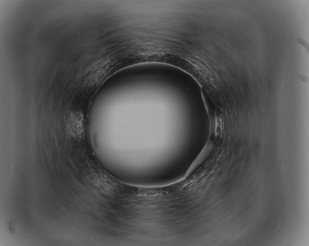 X0000091890963200709051340