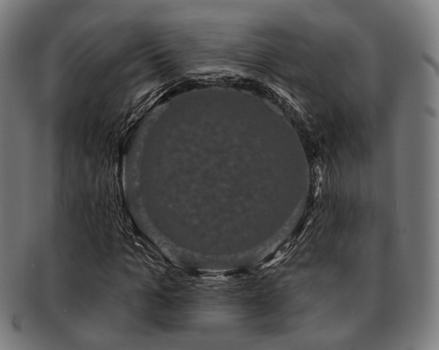 X0000091890965200709051340