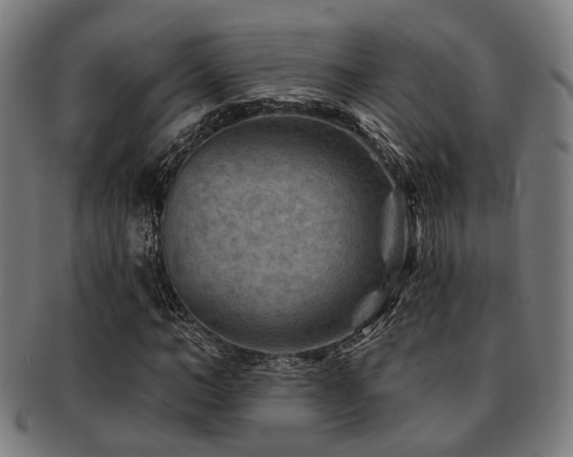 X0000091890966200709051340