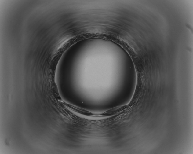 X0000091890968200709051340