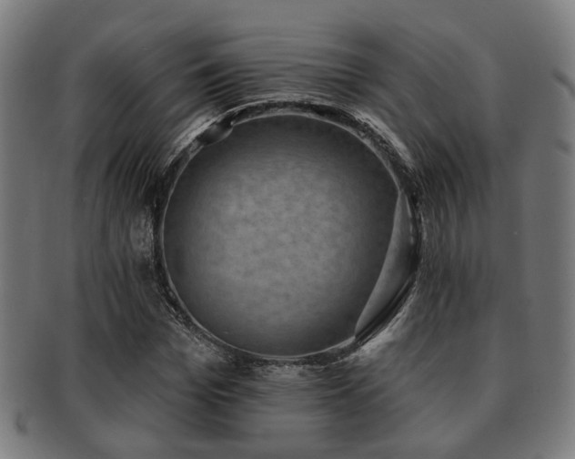 X0000091890969200709051340