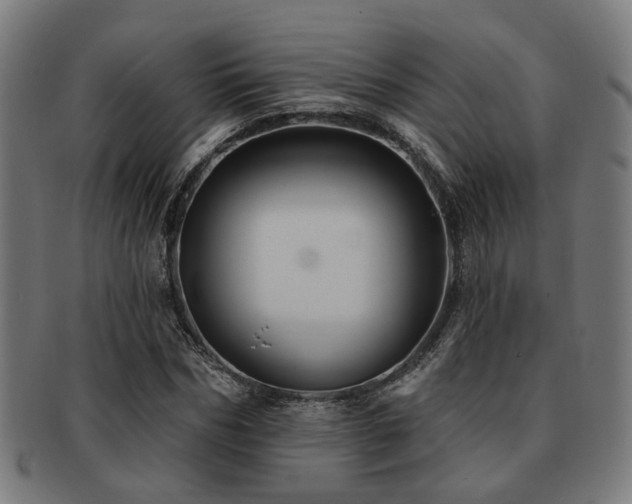 X0000091890970200709051340