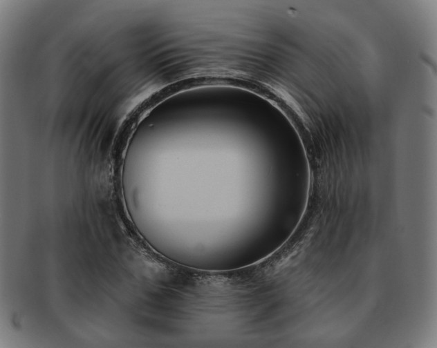 X0000091890971200709051340
