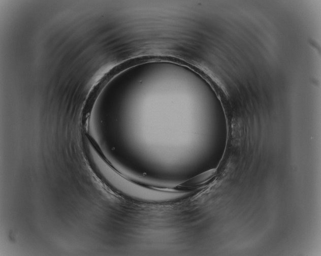 X0000091890972200709051340