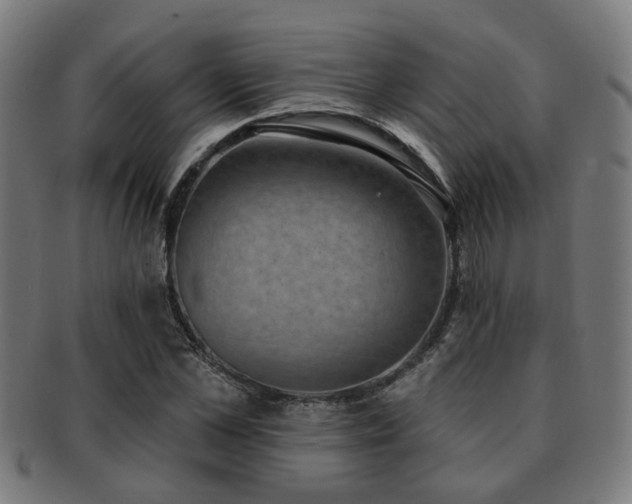 X0000091890973200709051340