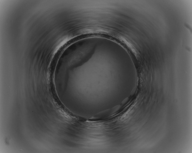X0000091890975200709051340