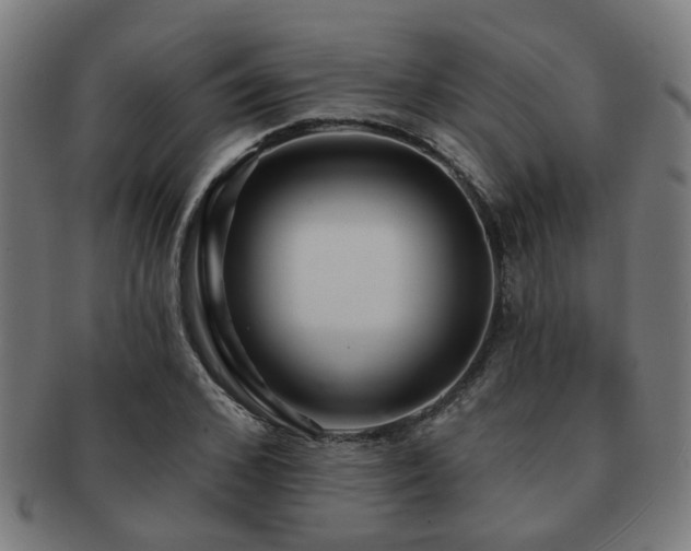 X0000091890976200709051340