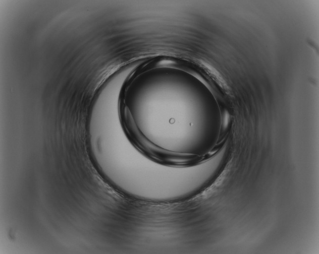 X0000091890977200709051340